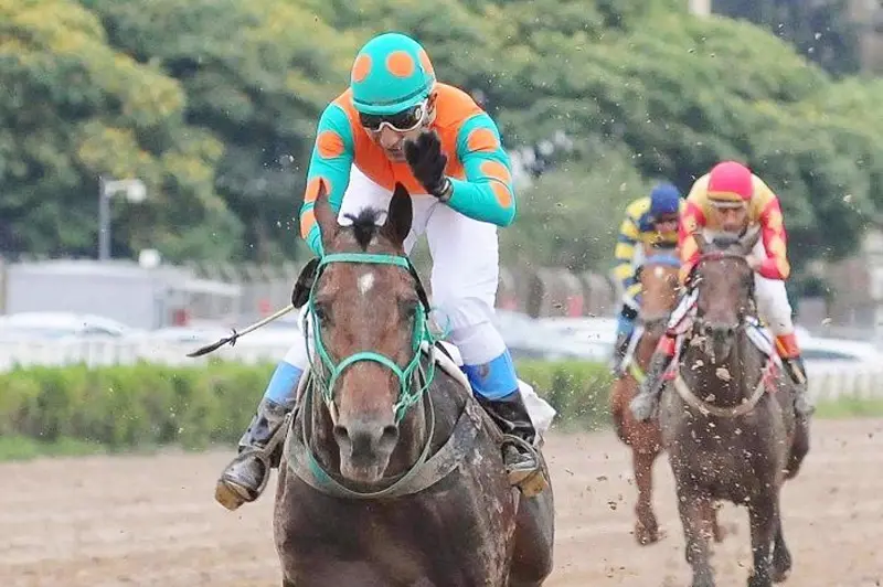 Lunes 18: Actividad Hipódromo de Palermo