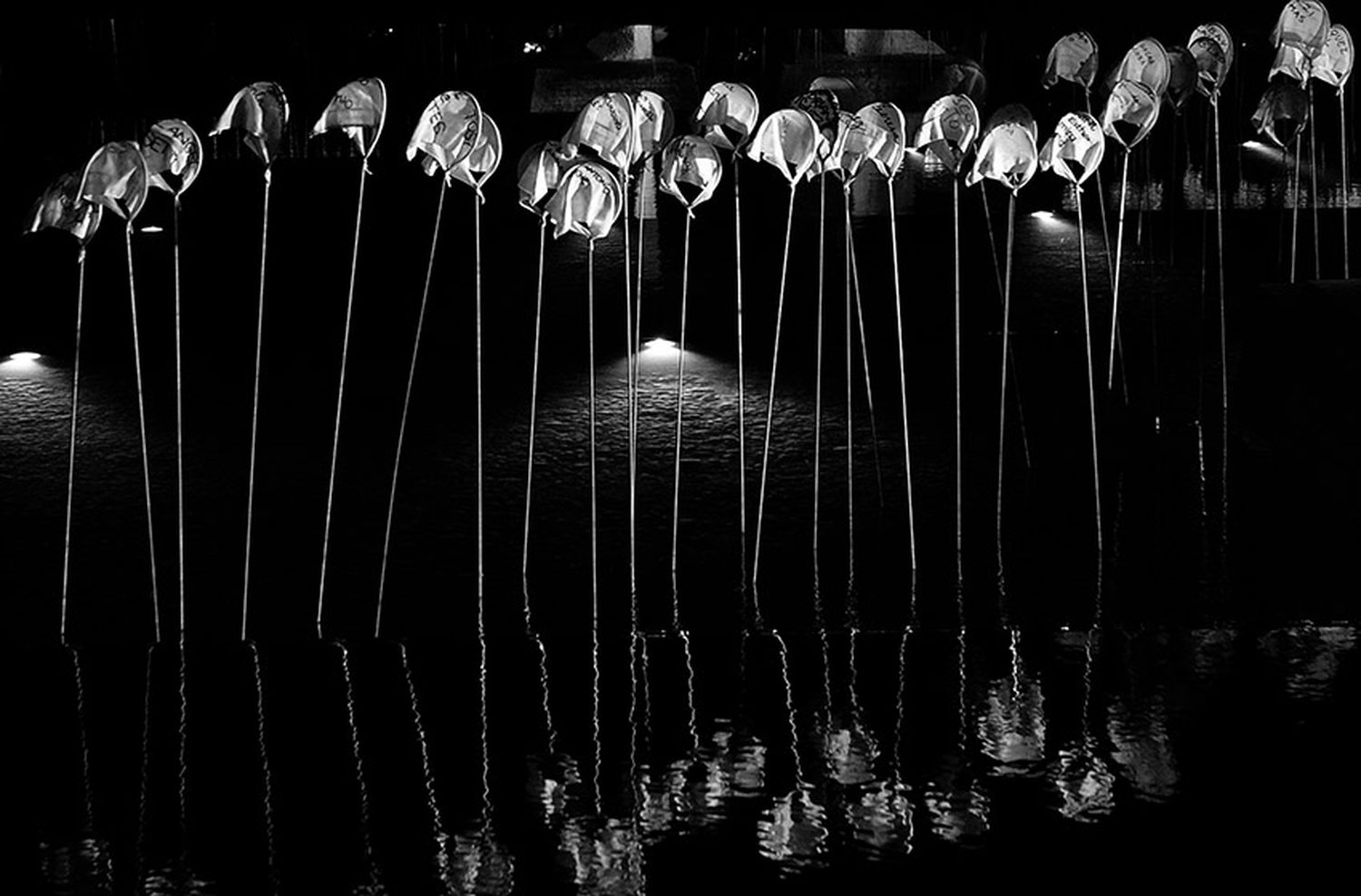 Muestra Anual de Fotoperiodismo: una ventana hacia lo que no se ve
