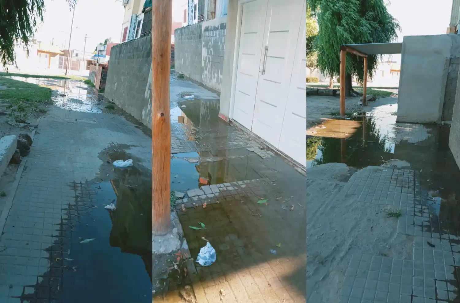 Cloacas tapadas en Fonavi 2: “No se puede estar”