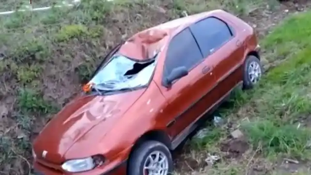 Un auto chocó contra un caballo y terminó en un zanjón