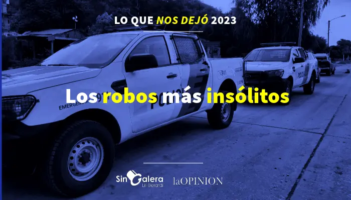 Lo que nos dejó 2023: los robos más insólitos 👮‍♂️
