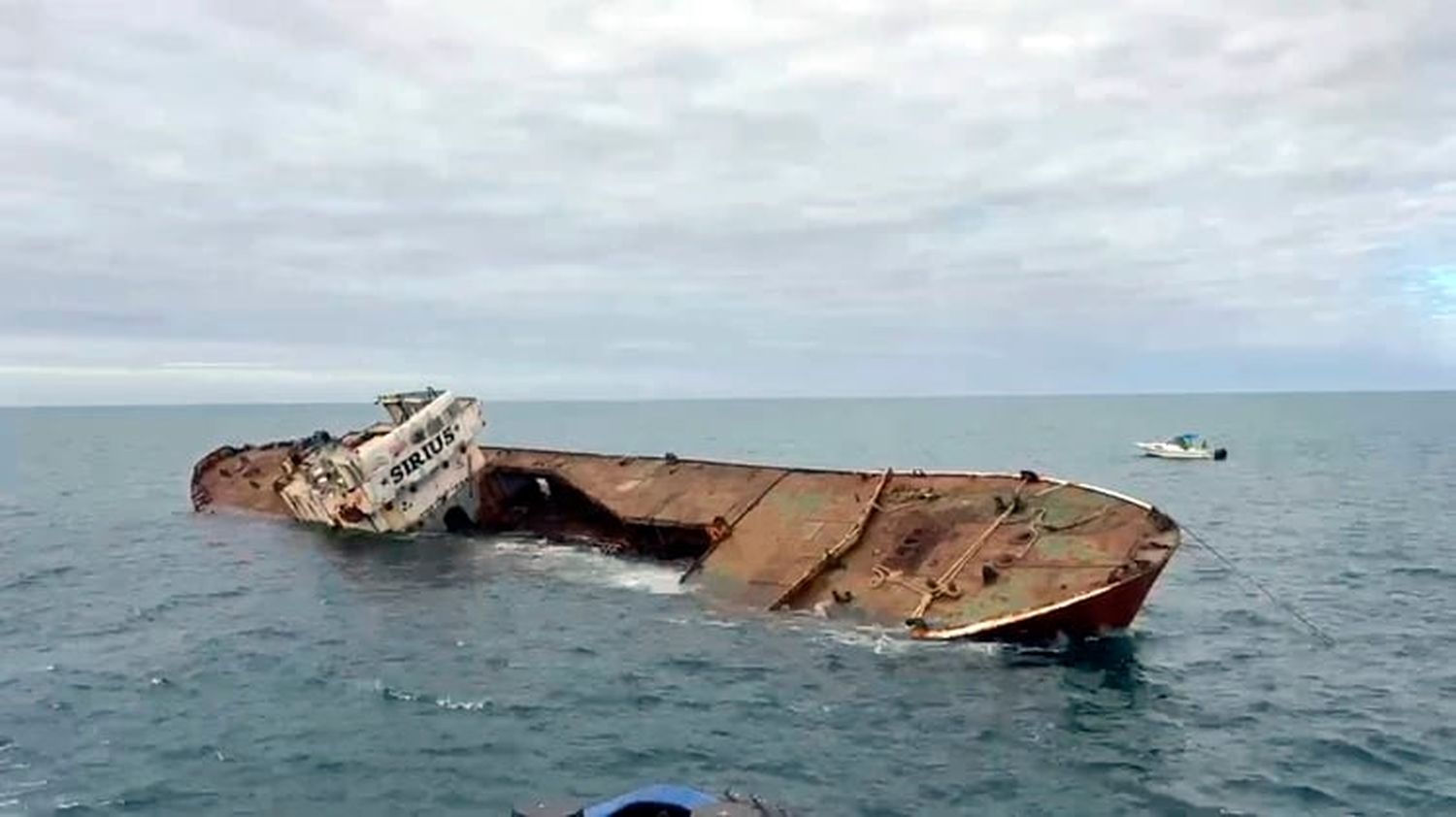 Video: hundieron un nuevo barco en el parque submarino de Mar del Plata