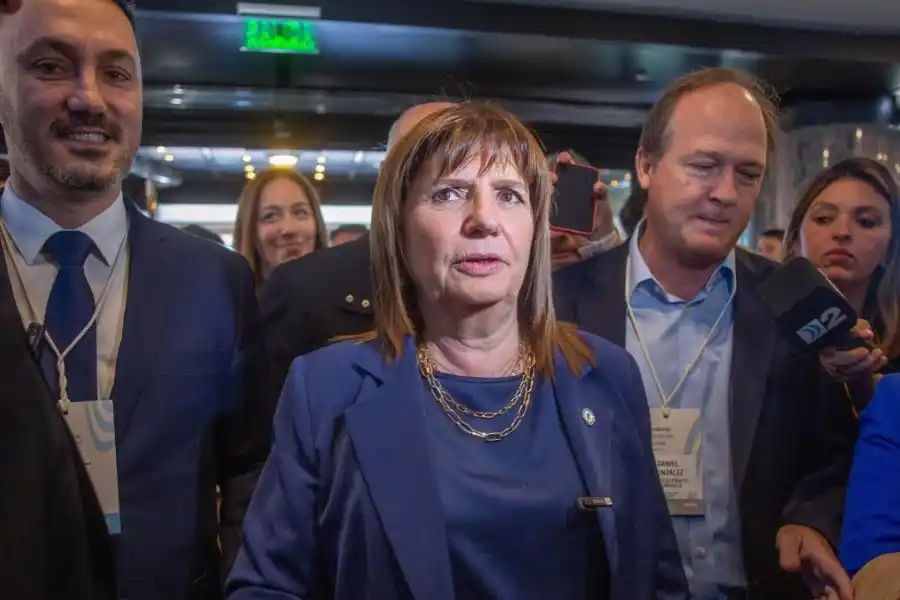 Bullrich afirmó que el sistema de indemnizaciones "es una espada de Damocles"