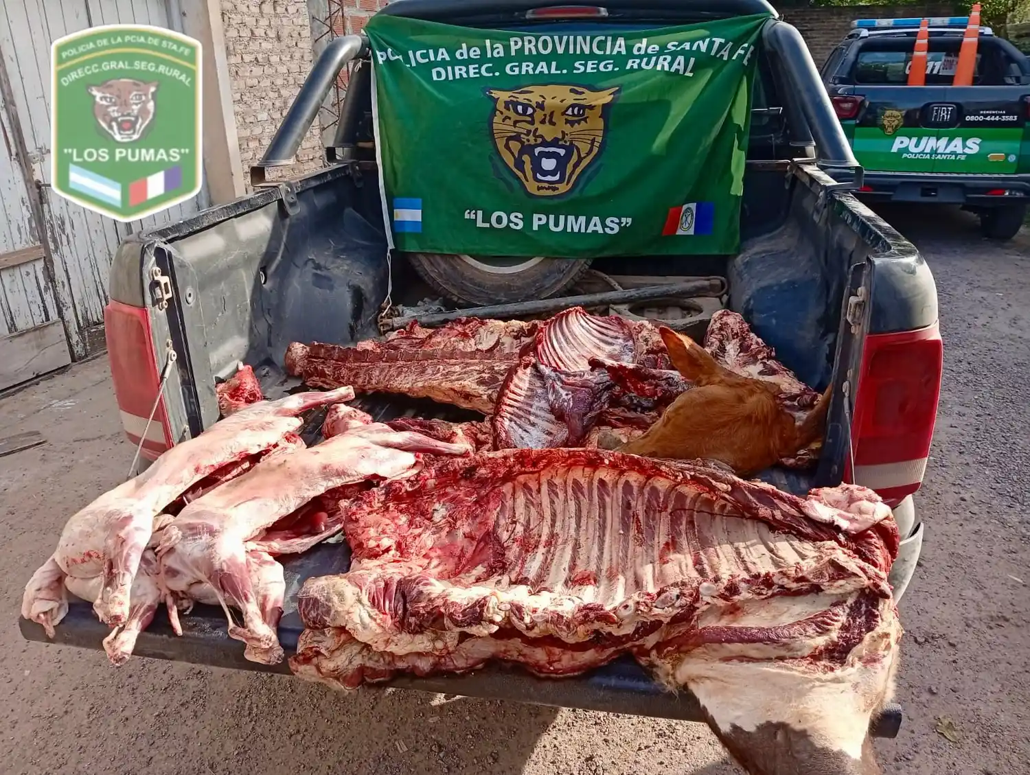 Por una denuncia anónima, secuestraron más de 120 kilos de carne faenada en la región