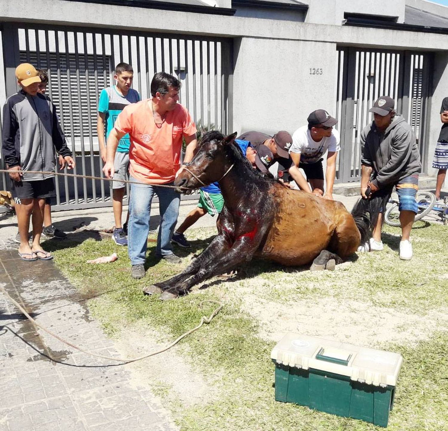 Erradicación de la tracción a sangre