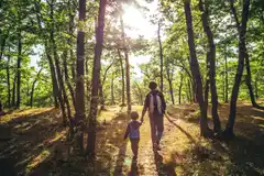 Un ambiente equilibrado y sano para cuidar de nuestra salud
