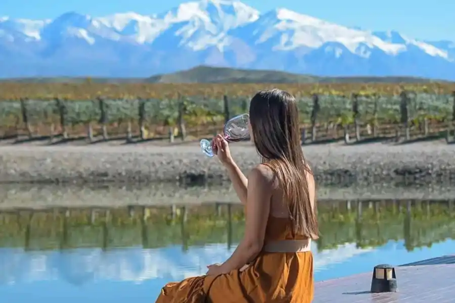 La provincia de Mendoza tiene la mayor cantidad de Malbec del pais