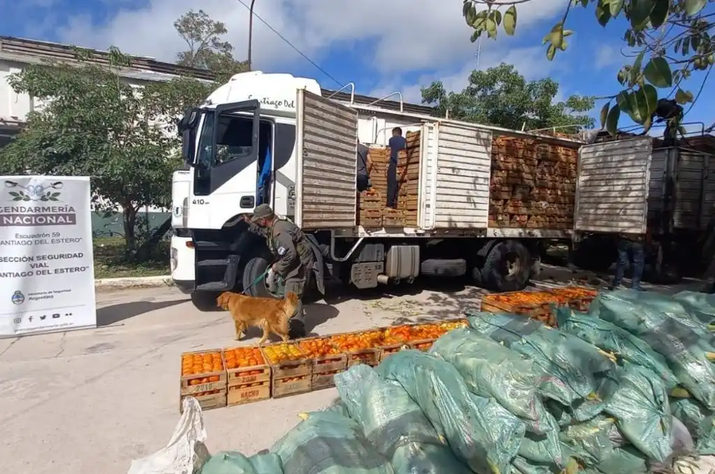 Detienen a camionero con 15 kilos de cocaína en la RN34