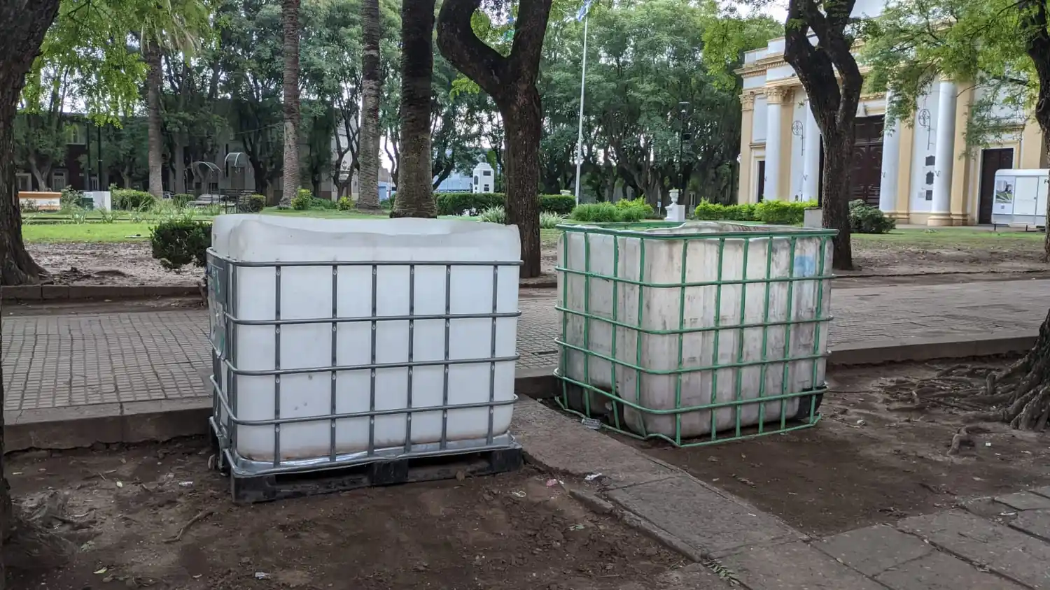 Volvieron los contenedores