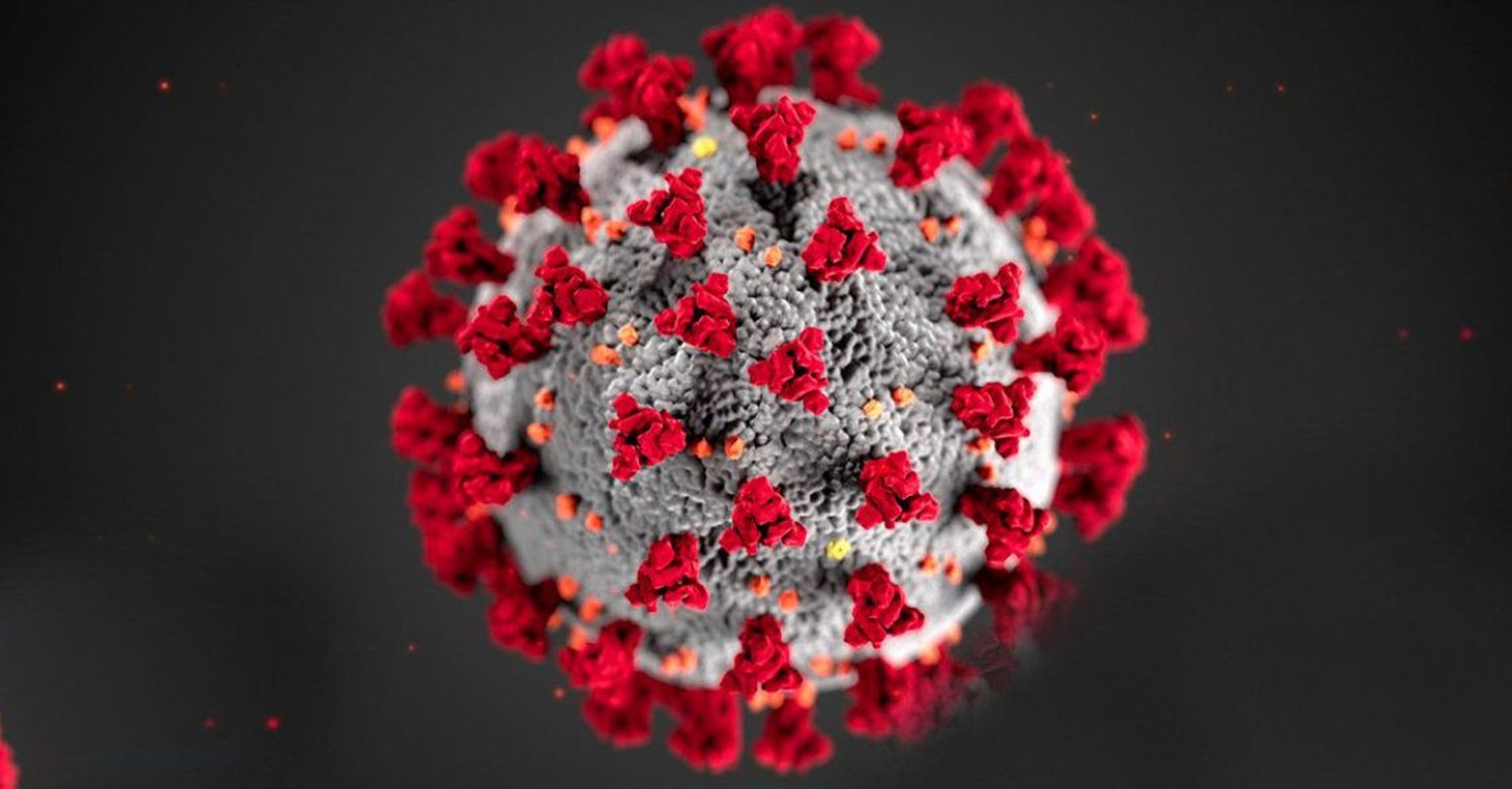 Coronavirus: El origen  es "natural" afirma la OMS