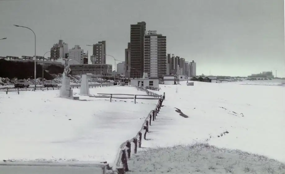 nieve necochea