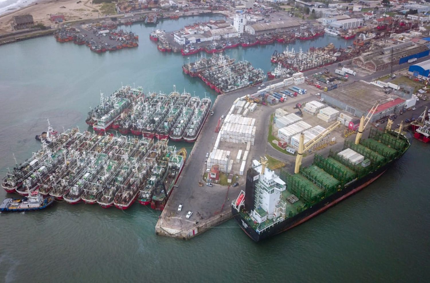 El puerto de Mar del Plata tiene previsto recibir más cruceros en los próximos meses 