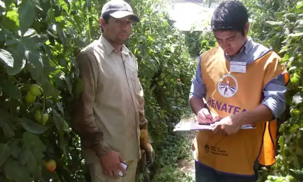 Hallaron 120 trabajadores del arándano en condiciones de extrema precariedad