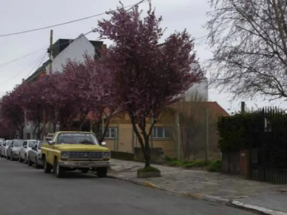 Su perro atacó a una mujer y tendrán que pagar $ 400.000