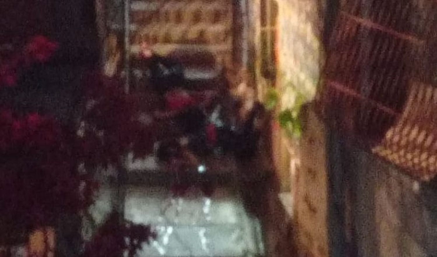 ¿TIROTEO ENTRE HAMPONES? Matan a dos mujeres en Petare