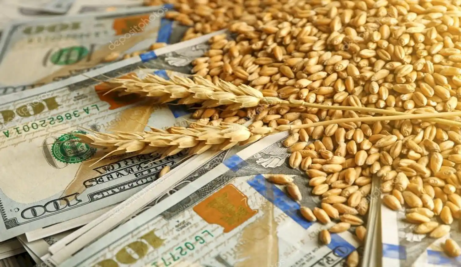 Nuevo dólar agro: en ocho días ya se negociaron cinco millones de toneladas