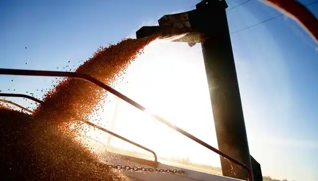 Argentina embarcó 60 millones de toneladas de granos en 2019