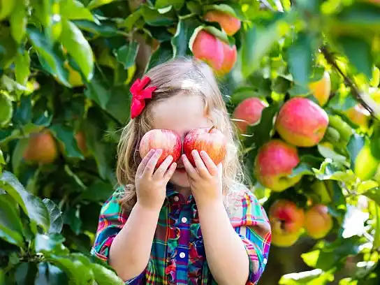 Reinventar la dulzura: frutas frescas como alternativa nutritiva para compartir afecto.