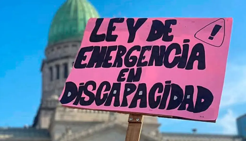 El gobierno nacional promulgó la Ley de Emergencia en Discapacidad