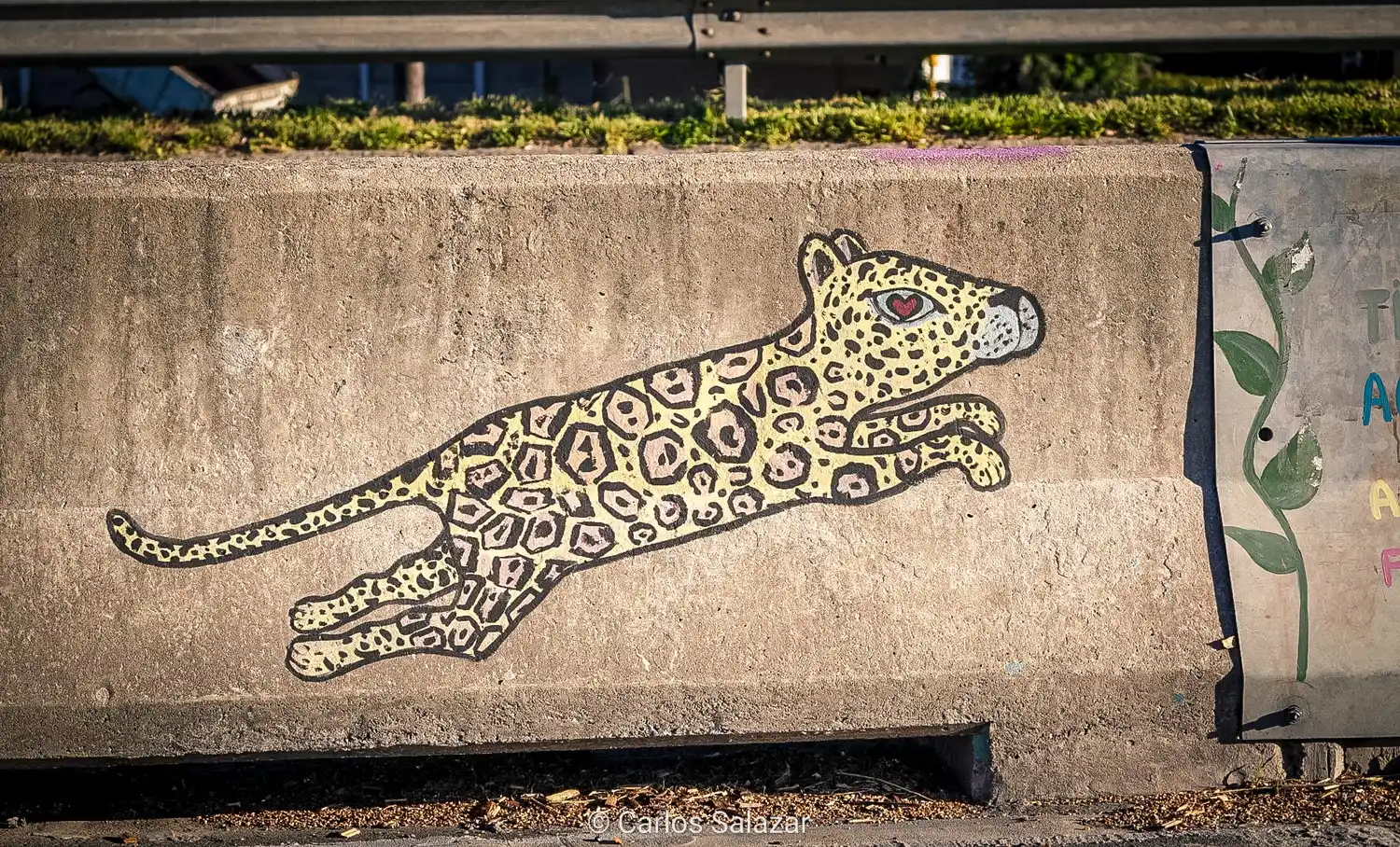 Marchan a Casa de Gobierno en defensa de los humedales