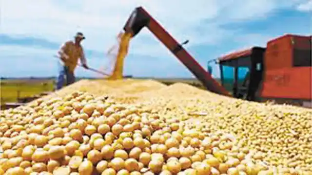 La lupa sobre exportaciones: qué vendió la Argentina en el segundo trimestre