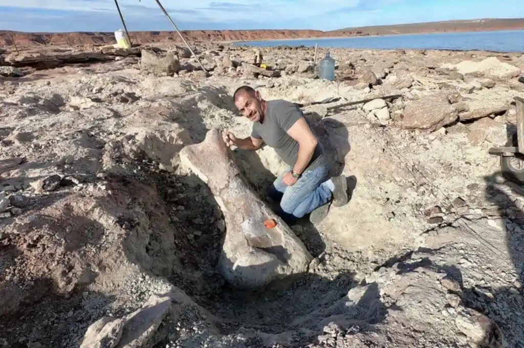 Hallan restos de un dinosaurio gigante en Neuquén