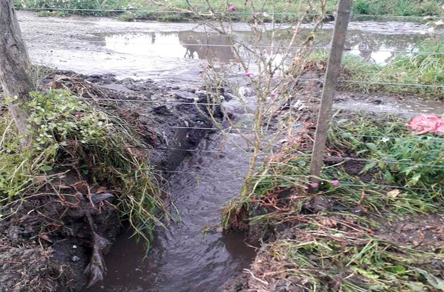 Barrio Las Canteras: "El Municipio nos tiene completamente abandonados"
