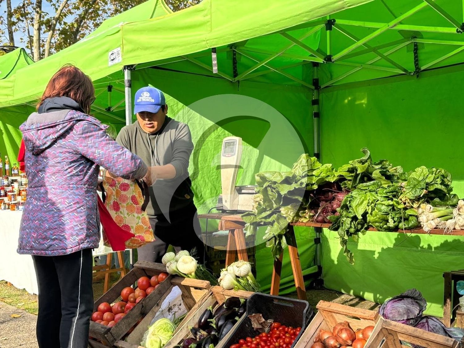Nueva edición de "El Mercado"
