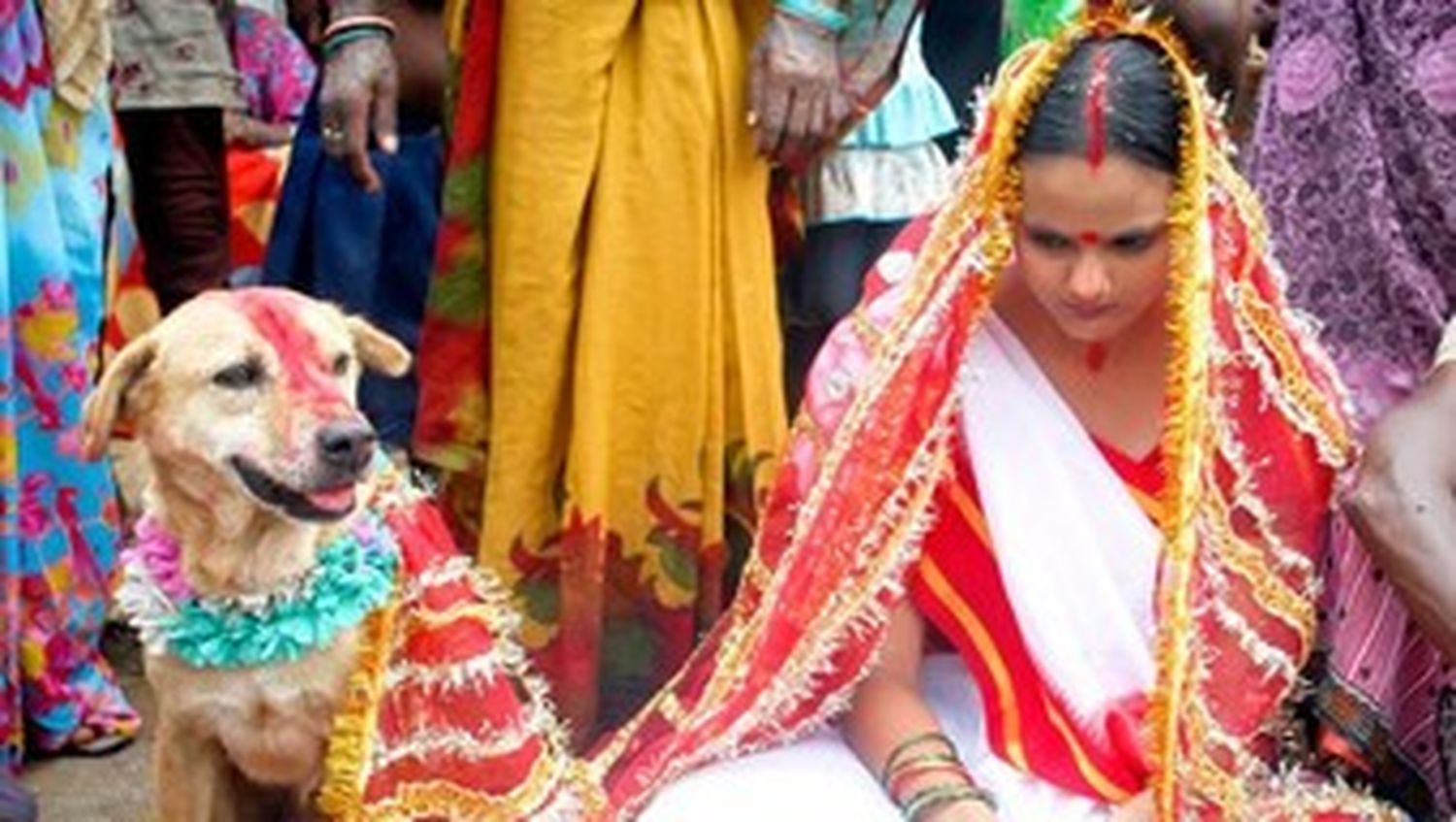 India: se casó con un perro para terminar con una maldición