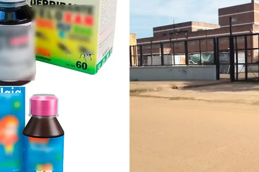 Niño fallecido por presunta ingesta de veneno: los nuevos detalles del caso