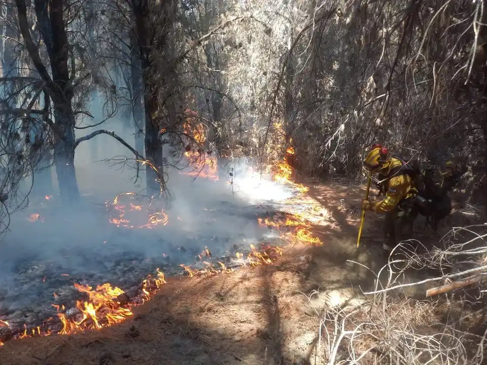 Los incendios en Chubut.