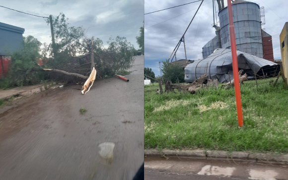 Temporal en 30 de agosto, Trenque Lauquen: Por los vientos, cayeron antenas, árboles y techos
