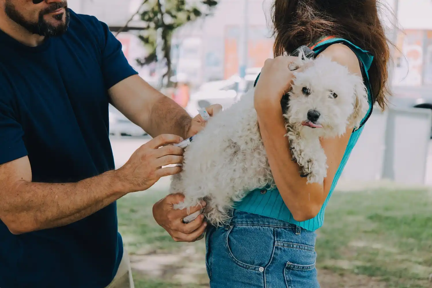 Los quirófanos móviles funcionarán del lunes 6 al viernes 10 en distintos puntos de Mar del Plata.