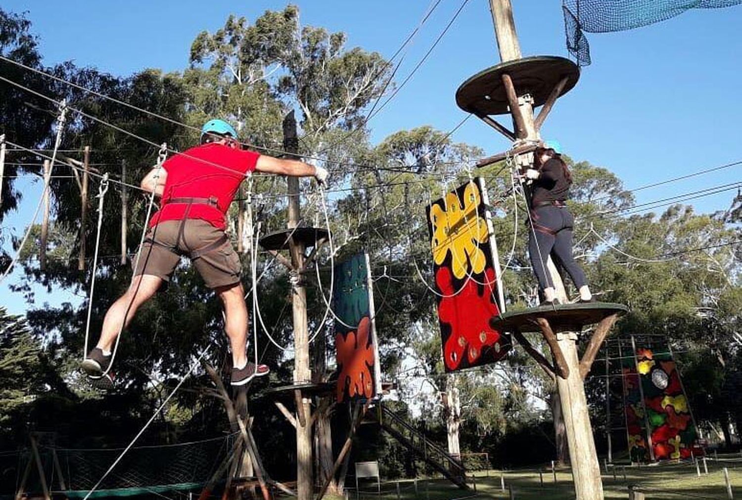 Treeland, el Parque multiaventura que combina propuesta recreativa y educativa