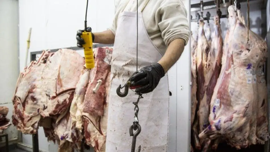 Suba de precios en la carne: "El consumidor no está en condiciones de pagar ese precio"