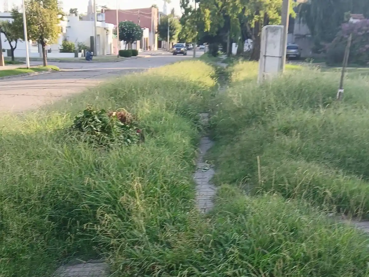 Fonavi II: quién tiene que cortar el pasto en las veredas
