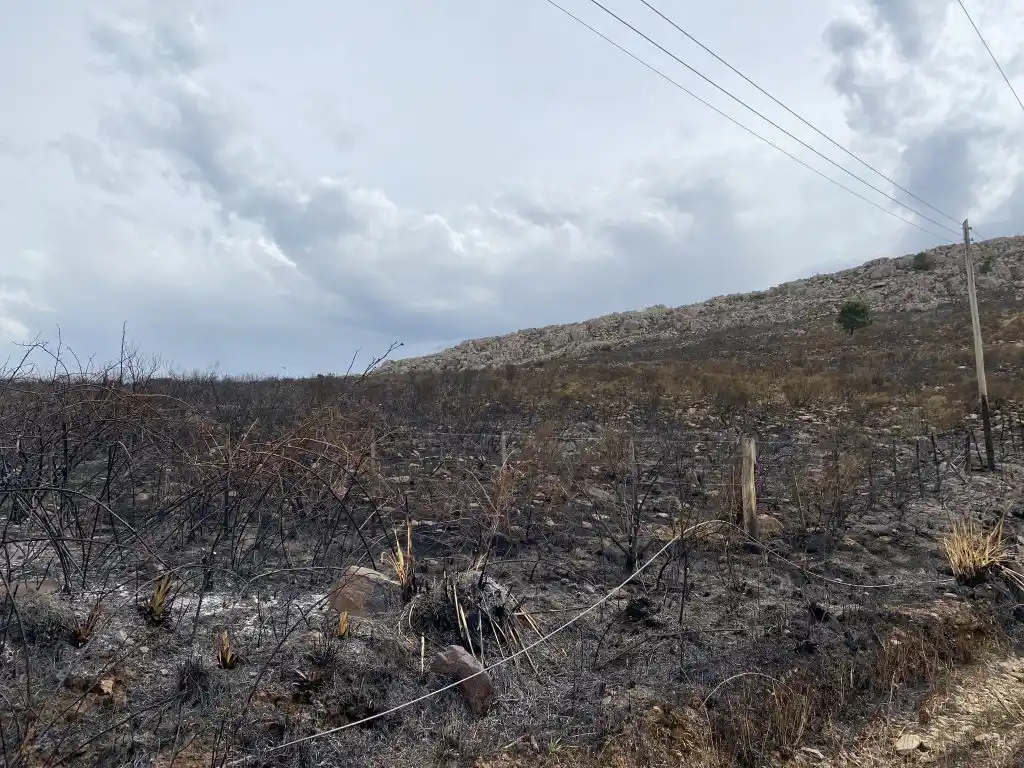 La Usina repara el alumbrado tras el voraz incendio en las sierras