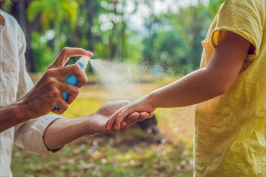 Sin vacunas, hay preocupación ante una nueva ola de dengue en Gualeguaychú