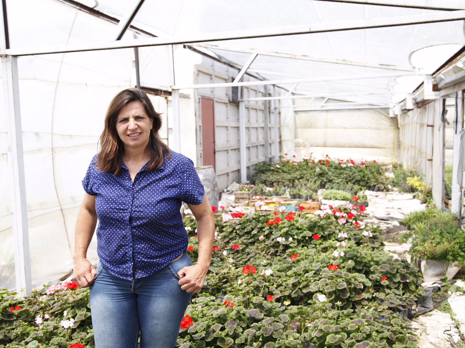 Del vivero, a la comuna de Josefina