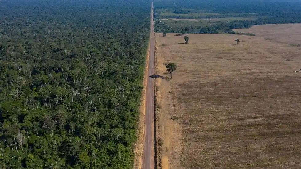Bosques de la Amazonia brasileña emitieron más carbono del que absorbieron en la última década