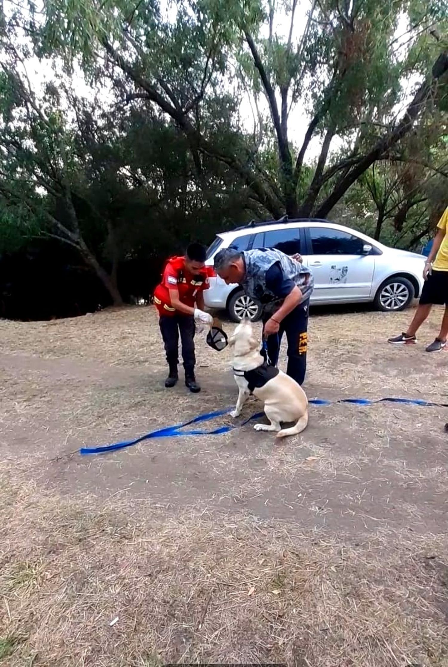 La Asociación K9 Gualeguay se consolida como nueva institución en la ciudad