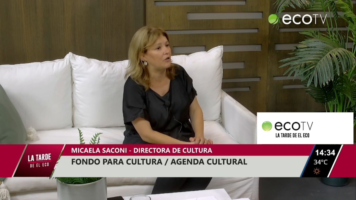 Fondo para cultura y agenda cultural 2024