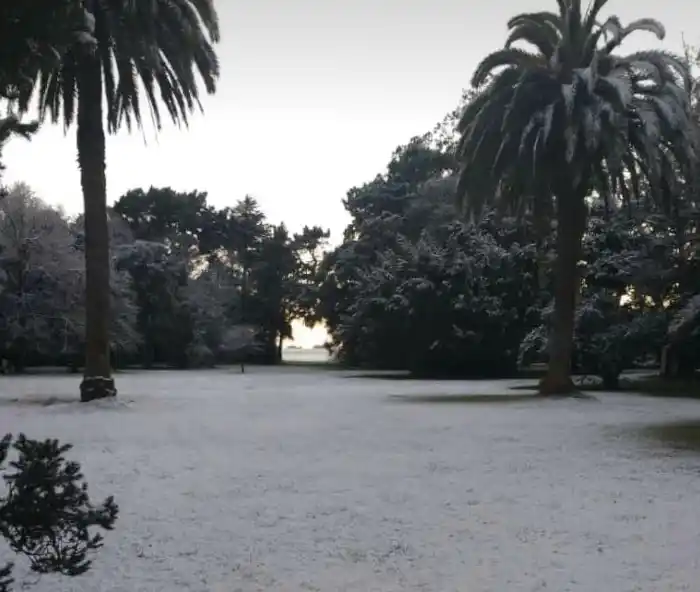 Por la irrupción de una ola polar, podría nevar esta semana en Tandil
