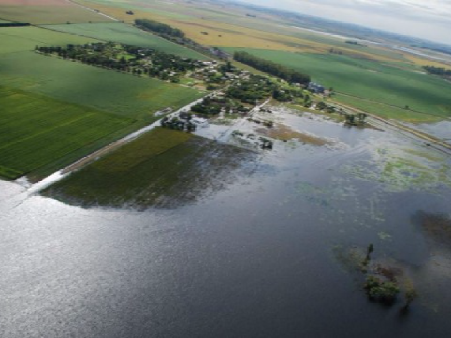 El Gobierno declara la emergencia agropecuaria en Chaco, Córdoba y Formosa