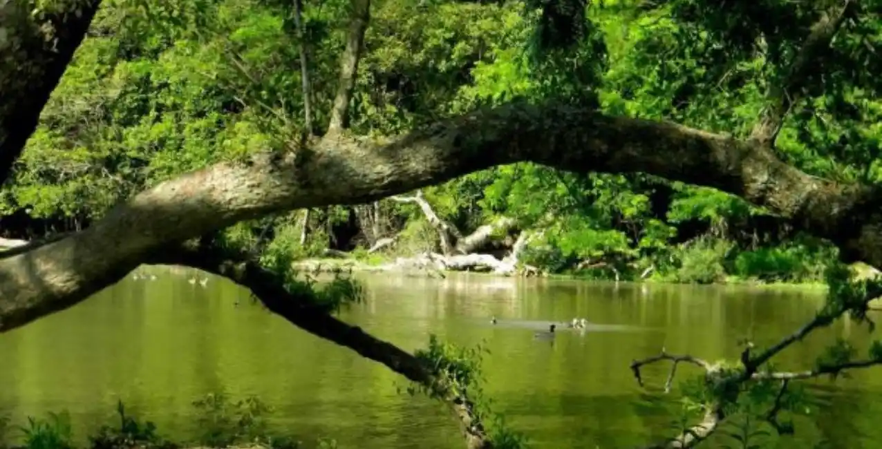 Le dispararon a una mujer para robarle su bicicleta en el Parque Pereyra Iraola
