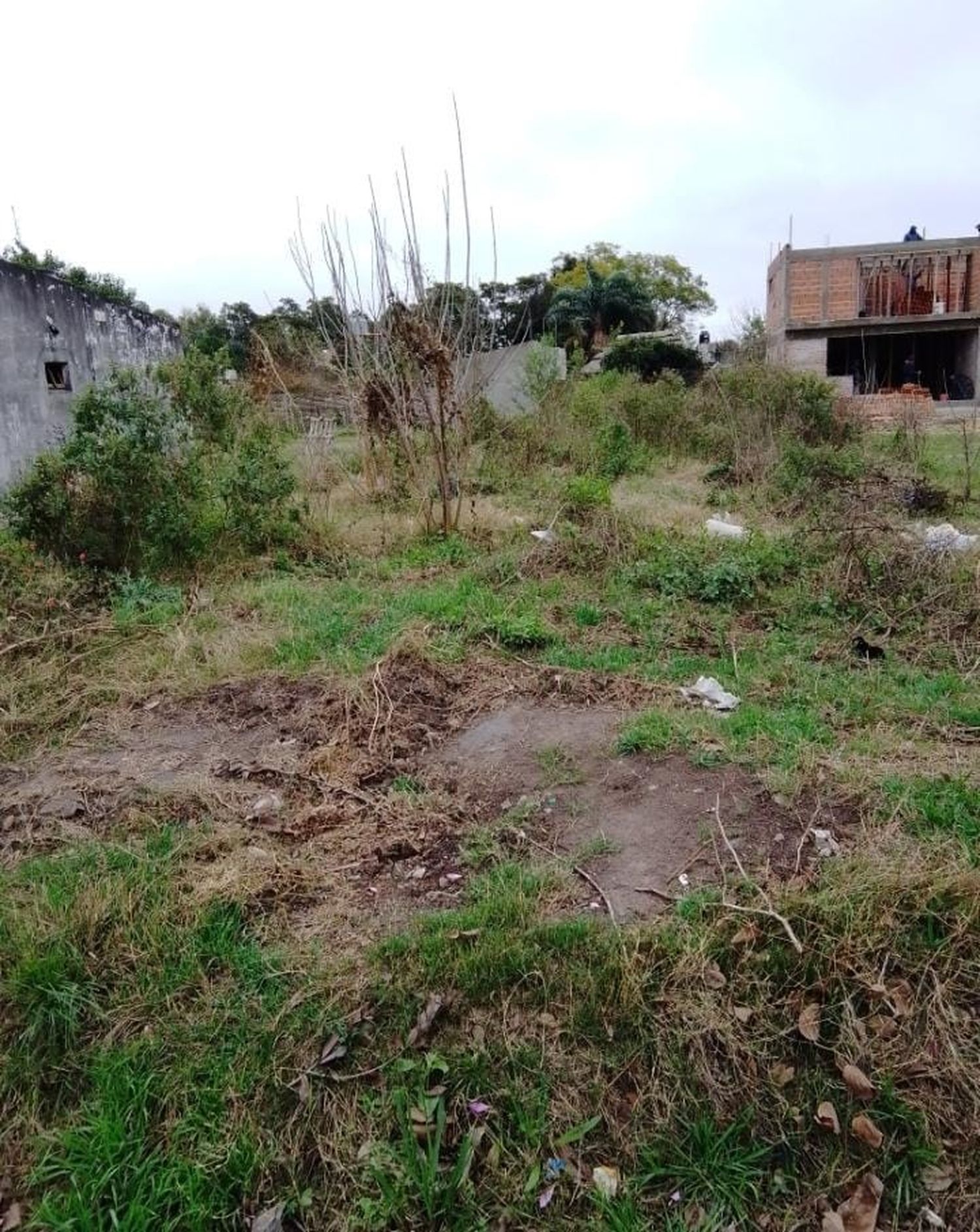 Reconquista continúa emplazando a propietarios de terrenos faltos de higiene