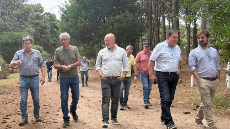 La firma francessa cuenta con 26 años de experiencia.