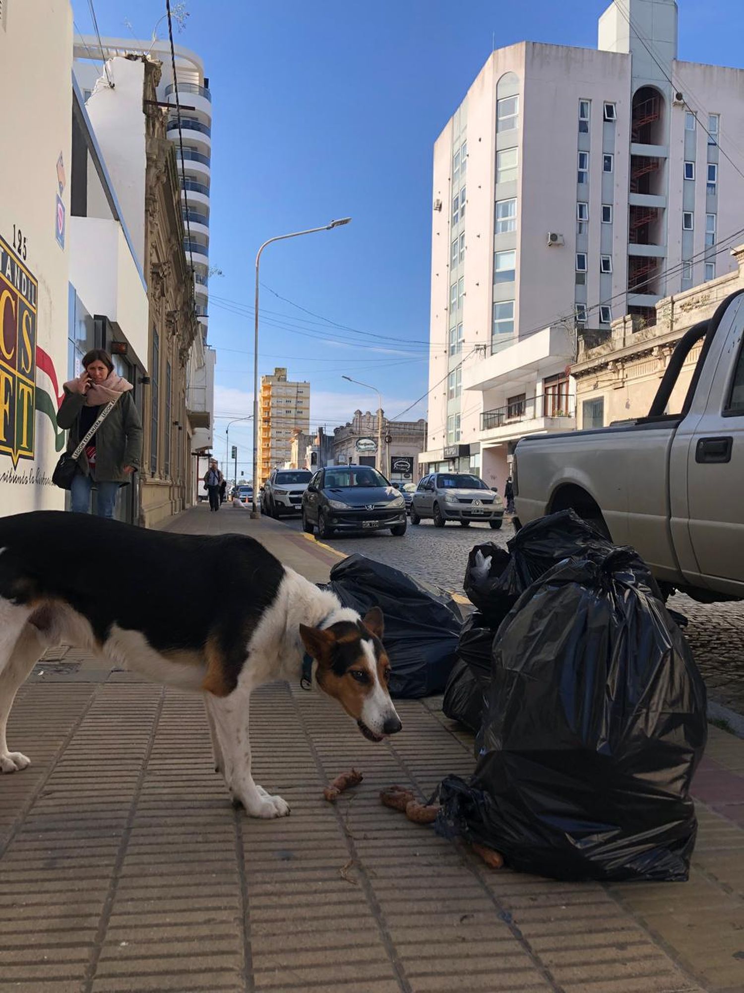 semana en fotos del 2 al 8 de junio - 2