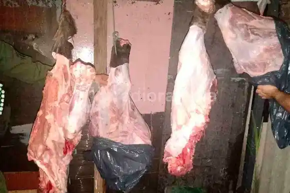 Los Pumas detuvieron a un chico de 16 años que había faenado a una vaca