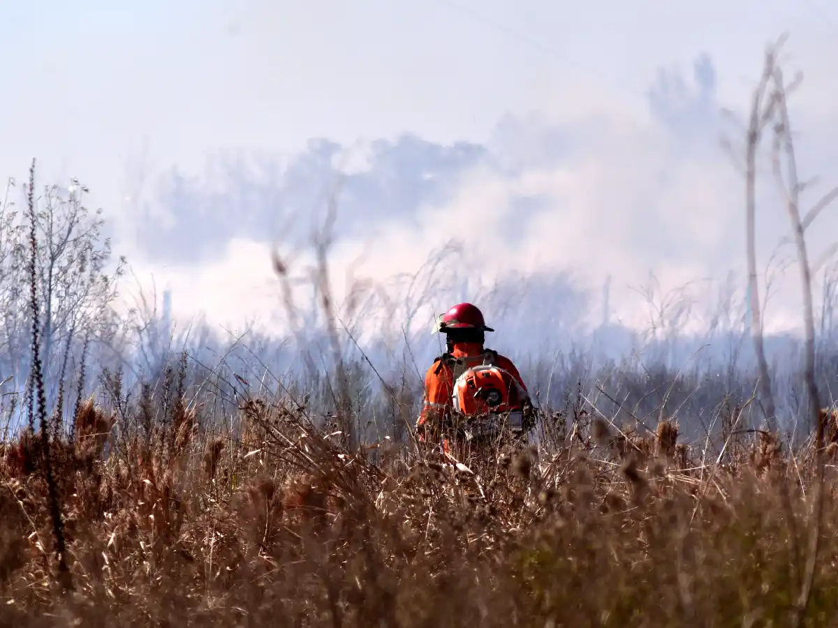 Este año ya se quemaron 60 % más de hectáreas que en 2019 